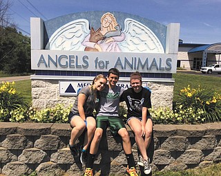SPECIAL TO THE VINDICATOR
On June 18 Holy Family Youth Ministry of Poland volunteered for Angels for Animals in Canfield. They answered phones, provided food and water and cleaned the cat and kitten rooms. In front of the Angels sign are volunteers Angelina Sabatino, left, Stephen Babik and Maria LoCicero.