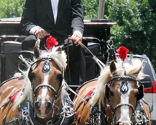 William D. Lewis The Vindicator Jim Best of Farmdale, owner of Best Horse Carriage, and his team of horses pull a hearse carrying the body of Bradford Baker along Rt 46 from Lane Funeral home to burial at Green Haven Memorial Park June 28, 2016. SEE VINDY OBIT FOR DEATAILS ABOUT MR. BAKER