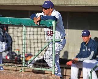 Manager Edwin Rodriguez(35) of the Scrappers watches from the dugout during the first inning of Wednesday nights game at Eastwood Field. DAVID DERMER | THE VINDICATOR