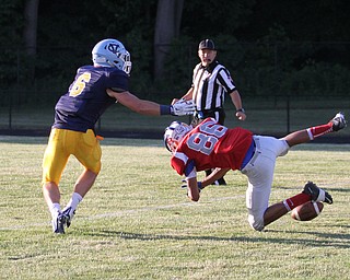 Nikos Frazier | The Vindicator..Greg Brunner(86) tumbles to the turf after dropping a pass in the first quarter of the 2016 Battle of the Border at Springfield High School in New Middleton.