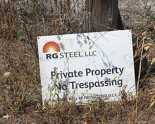 William D Lewis The Vindicator Weeds grow July 1, 2016 in front of Warren RG Steel blast furnace which will soon be demolished