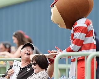 Jeff Lange | The Vindicator  WED, JUL 6, 2016 - Louis and Bonnie Siegel of Howland (left) shake hands with Ohio State mascot Brutus prior to the start of Wednesday night's Scrappers game against the Vermont Lakemonsters at Eastwood Field.