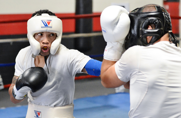 Jeff Lange | The Vindicator  SAT, JUL 9, 2016 - Popo Salinas (left) lands a punch on Jake Giuriceo during a sparring match while training at the gym on Market Street on Saturday, July 9, 2016.