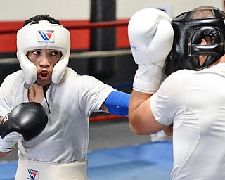 Jeff Lange | The Vindicator SAT, JUL 9, 2016 - Popo Salinas (left) lands a punch on Jake Giuriceo during a sparring match while training at the gym on Market Street on Saturday, July 9, 2016.