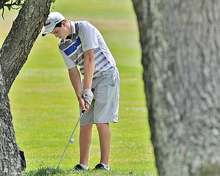 Jeff Lange | The Vindicator  THU, JUL 7, 2016 - Howland's Joey Vitale punches his ball through trees back onto the No. 11 fairway during Thursday's Greatest Golfer of the Valley Junior qualifier held at Salem Hills Golf Club.