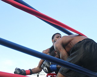 Nikos Frazier | The Vindicator..Fred Wilson of Cleveland and Rakin Johnson of Indianapolis, Ind. battle in the second round of the first bout of the South Side Boxing Club Championship Night at the Covelli Center.