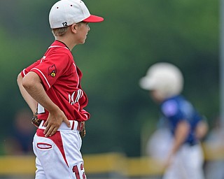  BOARDMAN, OHIO - JULY 24, 2016: Relief pitcher Ryan Petro #12 of Canfield shows his frustration after allowing a two run home run by Maddox Pennington #3 of Hamilton in the fifth inning of Sunday afternoons Little League State Championship Game at the Fields of Dreams. Hamilton won 11-0. DAVID DERMER | THE VINDICATOR