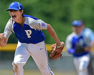 BOARDMAN, OHIO - JULY 30, 2016: Relief pitcher Jarret Shurilla #48 of Poland celebrates after the game winning strike out in the seventh inning of the Little League Junior Division Championship game, Saturday afternoon at the Fields of Dreams. Poland won 8-4. DAVID DERMER | THE VINDICATOR