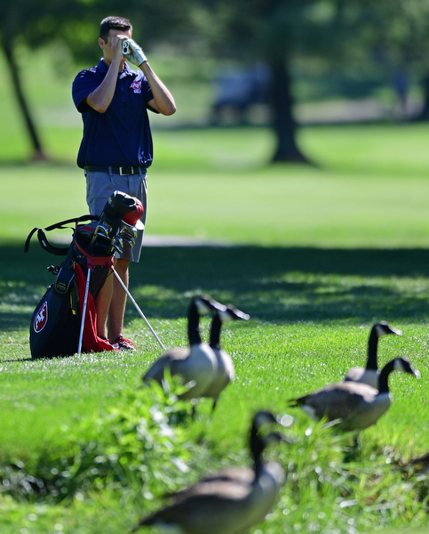 LIBERTY, OHIO - AUGUST 29, 2016: Anthony Catarrh of Fitch uses a range finder while Canadian Geese walk on the fairway of the third hole Monday afternoon at the Youngstown Country Club during the Ursuline Invitational. DAVID DERMER | THE VINDICATOR