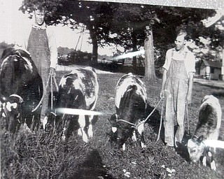        ROBERT K. YOSAY  | THE VINDICATOR..First Generation as Beanie ( howard and Jacob Withers_.Honey Creek Farms, which marks its 100th year showing cattle at the Canfield Fair... - -30-...