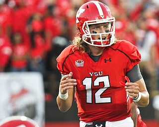 William D. Lewis/The Vindicator YSU QB Ricky Davis (12) during 1rst qtr of Sept. 1, 2016 game with Duquesne