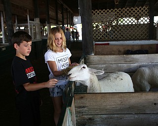 Nikos Frazier | The Vindicator..Jordan Varga, 12 and his step-sister, Lilly Gunp, 11, pet a sheep at the Canfield Fair on Monday, Sept. 5, 2016.