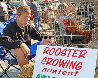 Isaac Ricketts of New Waterford whistles at his rooster during the Rooster Crowing Contest at the Canfield Fair on Monday morning.  Dustin Livesay  |  The Vindicator  9/5/16  Canfield Fairgrounds.