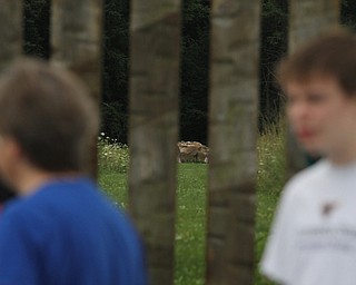 Nikos Frazier | The Vindicator..A rock marks the site where United Flight 93 impacted an abandoned field in Shanksville, Pa. on Sept. 11, 2001.