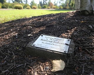 Nikos Frazier | The Vindicator..Trees are dedicated in the memory of Rebecca Koborie, who died on Sept. 11, 2001. Koborie worked as a secretary on the 97th floor the North Tower. American Airlines Flight 11 struck the floors between 93 and 99 of the North tower of the World Trade Center.