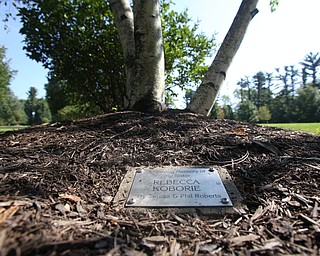 Nikos Frazier | The Vindicator..Trees are dedicated in the memory of Rebecca Koborie, who died on Sept. 11, 2001. Koborie worked as a secretary on the 97th floor the North Tower. American Airlines Flight 11 struck the floors between 93 and 99 of the North tower of the World Trade Center.