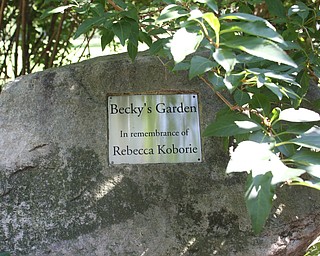 Nikos Frazier | The Vindicator..Trees are dedicated in the memory of Rebecca Koborie, who died on Sept. 11, 2001. Koborie worked as a secretary on the 97th floor the North Tower. American Airlines Flight 11 struck the floors between 93 and 99 of the North tower of the World Trade Center.