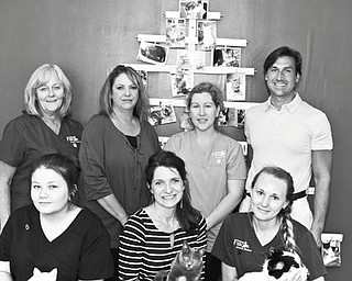 SPECIAL TO THE VINDICATOR
Falcon Animal Rescue of Austintown will host its third annual Falcon Furry Friends Benefit from 5 to 8 p.m. Sept. 25 at Aqua Pazzo Restaurant, McClurg Road in Boardman. There will be basket and live auctions and a 50-50 raffle. Tickets are $75 per person and include a cocktail, hors d’oeuvres and entertainment. All proceeds will go to the rescue. The rescue is dedicated to the rehabilitation of homeless and abused animals. Staff members preparing for the event are, in front from left, Taylor Phelan, Dawn Marie DelPrincipe and Amanda Carson. In back are, Debbie Marsh, Diane Ruff, Michelle Baker and Mark Constantini.