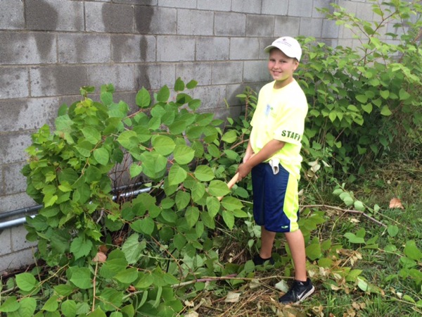 Neighbors | Submitted.Nate Smrek uses a sickle to clear away overgrown weeds.