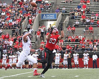 Nikos Frazier | The Vindicator..Youngstown State's Kevin Rader(83) reaches up to catch a pass in the first quarter against Robert Morris at Stambaugh Stadium on Saturday, Sept. 17, 2016...Robert Morris Adam Wollet(33) left