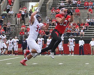 Nikos Frazier | The Vindicator..Youngstown State's Kevin Rader(83) catches a pass in the first quarter against Robert Morris at Stambaugh Stadium on Saturday, Sept. 17, 2016...Robert Morris Adam Wollet(33) left