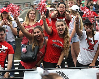Nikos Frazier | The Vindicator..Youngstown State's Student Section at Stambaugh Stadium on Saturday, Sept. 17, 2016..