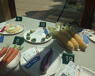 Neighbors | Alexis Bartolomucci.A table full of vegetables was set out during the Men's Garden Club of Youngstown's annual horticulture show at Fellows Riverside Gardens on Aug. 20 and 21.