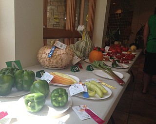 Neighbors | Alexis Bartolomucci.The Men's Garden Club of Youngstown's annual horticulture show on Aug. 20 and 21 at Fellows Riverside Gardens featured different vegetables and awards that were received.