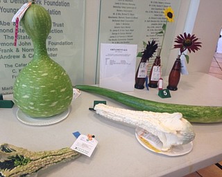 Neighbors | Alexis Bartolomucci.Different types of plants and vegetables were put on display for the Men's Garden Club of Youngstown's annual horticulture show on Aug. 20 and 21 at Fellows Riverside Gardens.