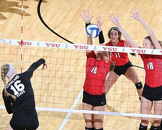 Youngstown State's Erin Kalahar (10) and Lori Vanbeek (18) block a spike by Cleveland State's Sara Skeens (16) during the third set of Sunday afternoons matchup at the Beeghly Center.   Dustin Livesay  |  The Vindicator  9/25/16  Beeghly Center,  YSU