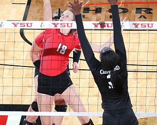 Lori Vanbeek (18) of Youngstown State hits the ball over the block set up by Clebeland State's Aaliyah Slappy (3) during the third set of Sunday afternoons matchup at the Beeghly Center.   Dustin Livesay  |  The Vindicator  9/25/16  Beeghly Center,  YSU