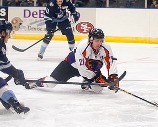 Youngstown Phantoms forward Tommy Apap (21) dives during a shot on goal against the Madison Capitols during the first period at the Covelli Centre on October 8, 2016.  Scott R. Galvin | Vindicator
