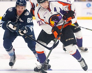 Youngstown Phantoms forward Alex Esposito (23) skates the puck past Madison Capitols forward Alec Broetzman (21) during the first period at the Covelli Centre on October 8, 2016.  Scott R. Galvin | Vindicator