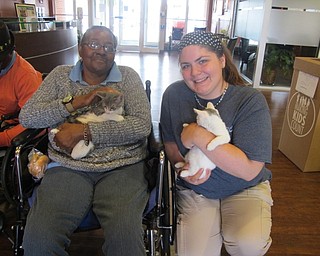 Neighbors | Alexis Bartolomucci.Cheryl and Alyssa held two of the kittens up for adoption at the Cat Adoption event at Greenbriar Healthcare Center on Sept. 17.