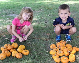 Neighbors | Abby Slanker.After searching through the hay, Kelly and Luke Kozlowski set out their pumpkins in hopes of winning a prize at the annual Canfield Dairy Queen Pumpkin Hunt on Sept. 24.