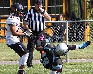 Nikos Frazier | The Vindicator..East's Leon Bell(19) flips into the end-zone for the two point conversion in the first quarter at Rayen Stadium in Youngstown on Saturday, Oct. 15, 2016 as the Canfield Cardinals take on the East Panthers...Also pictured Canfields Paul French(27)