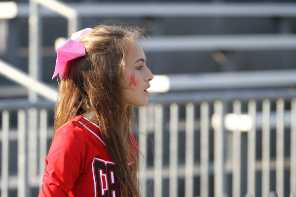 Nikos Frazier | The Vindicator..A pink ribbon is painted on the cheek of Canfield cheerleader Gretchen Ripely, during Breast Cancer Awareness month, as she watches the Canfield Cardinals take on the East High Panthers at Rayen Stadium in Youngstown on Saturday, Oct. 15, 2016.