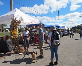 Neighbors | Alexis Bartolomucci.A dog up for adoption got to know another dog who came to the Youngstown flea market on Sept. 24 with it's owners.