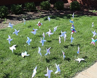 Neighbors | Abby Slanker.The Canfield High School Class of 2020 took part in an international art and literacy project, Pinwheels for Peace, by ‘planting’ pinwheels with messages of peace on the front lawn of the high school on Sept. 21.