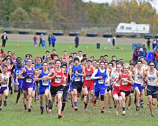 BAZETTA, OHIO - OCTOBER 22, 2016: The pack of runners take off from the starting line of the boy's Division 2 district cross country meet at the Trumbull Country Fairgrounds Saturday afternoon. DAVID DERMER | THE VINDICATOR