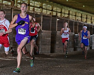 BAZETTA, OHIO - OCTOBER 22, 2016: Dylan McKean of Champion and Kevin Dubaj of Niles lead a pack of runners through a horse barn to the finish line during the boy's Division 2 district cross country meet at the Trumbull Country Fairgrounds Saturday afternoon. DAVID DERMER | THE VINDICATOR