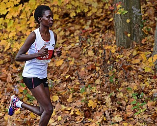 YOUNGSTOWN, OHIO - OCTOBER 23, 2016: Daisy Kimeli runs on West Glacier Drive inside Mill Creek Park during the Peace Race, Sunday morning. DAVID DERMER | THE VINDICATOR