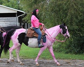 Neighbors | Abby Slanker.One rider and horse went all out in the spirit of breast cancer awareness, embracing the color pink for the third annual Survivor Run at Buckeye Horse Farm on Oct. 1.