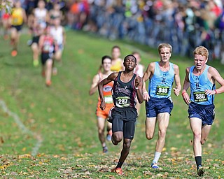 BOARDMAN, OHIO - OCTOBER 29, 2016: Chris Butler of Boardman runs in front of Noah Murray and Zach Fresenko of Louisville during the Division 1 Northeast Ohio Regional Cross Country race at Boardman High School. DAVID DERMER | THE VINDICATOR
