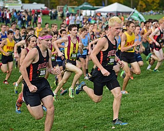 BOARDMAN, OHIO - OCTOBER 29, 2016: Ethan Neff and Andrew Sutton of Howland start the Division 1 Northeast Ohio Regional Cross Country race at Boardman High School. DAVID DERMER | THE VINDICATOR