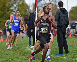 BOARDMAN, OHIO - OCTOBER 29, 2016: Chris Butler of Boardman runs in front of Noah Murray of Louisville during the Division 1 Northeast Ohio Regional Cross Country race at Boardman High School. DAVID DERMER | THE VINDICATOR