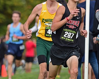 BOARDMAN, OHIO - OCTOBER 29, 2016: Giovanni Copploe of Canfield runs during the Division 1 Northeast Ohio Regional Cross Country race at Boardman High School. DAVID DERMER | THE VINDICATOR