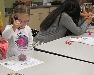 Neighbors | Alexis Bartolomucci.Rylynn begins mashing her potato to make mashed potatoes during Sprout Club at Fellows Riverside Gardens on Oct. 13.