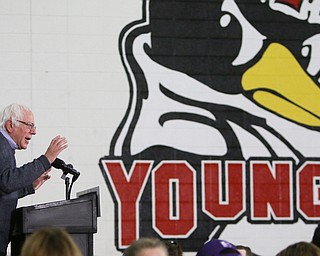 ROBERT K. YOSAY | THE VINDICATOR..Bernie Sanders spoke to a crowd of over 300 supporters at YSU stadium gym. in support of Hillary Kaine thursday afternoon... - -30-...