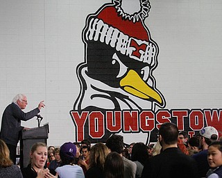 ROBERT K. YOSAY | THE VINDICATOR..Bernie Sanders spoke to a crowd of over 300 supporters at YSU stadium gym. in support of Hillary Kaine thursday afternoon... - -30-...